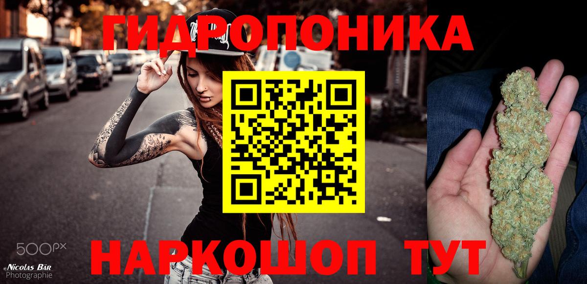 Канабис сатива Котельники